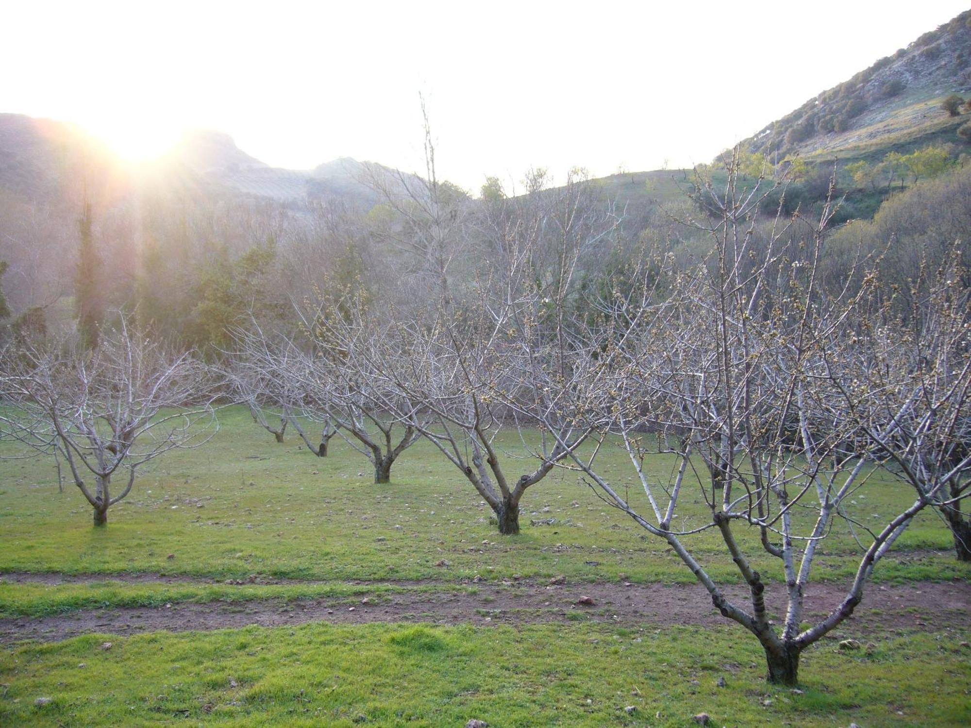 Restaurante Sierra De La Martina Maison d'hôtes *